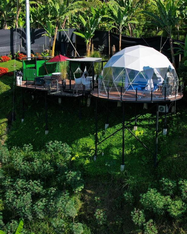 Aed väljaspool majutusasutust Chamí Glamping