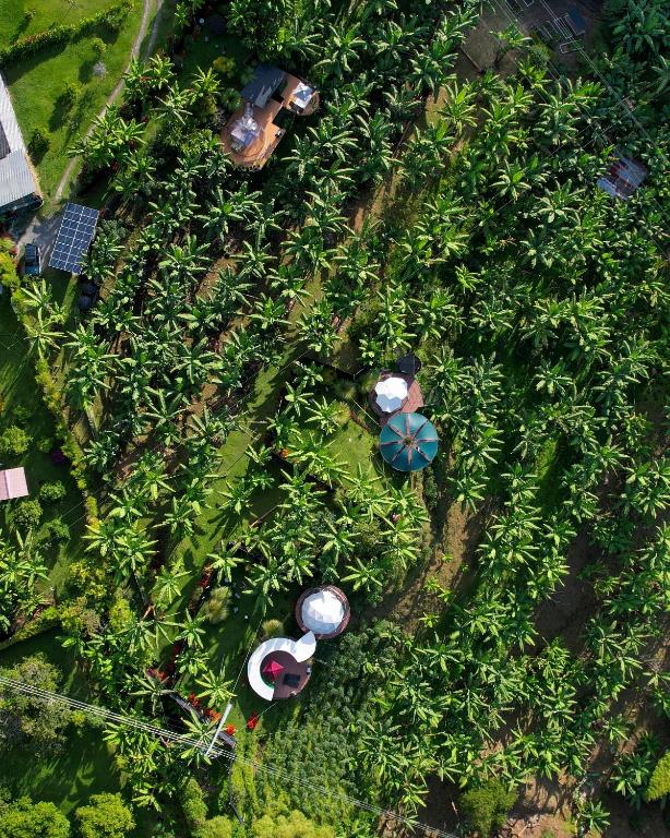 Aed väljaspool majutusasutust Chamí Glamping