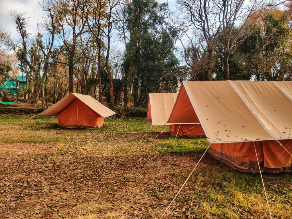 Fotografie z fotogalerie ubytování Monkey Mud House and Camps, Bir v destinaci Bir