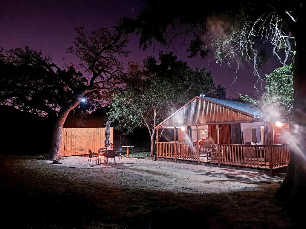 a cabin with a table and a tree at night at Cosy Corner in Kampersrus AH