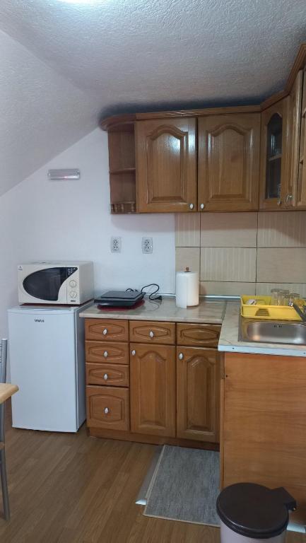 Kuchyň nebo kuchyňský kout v ubytování Apartman Saša