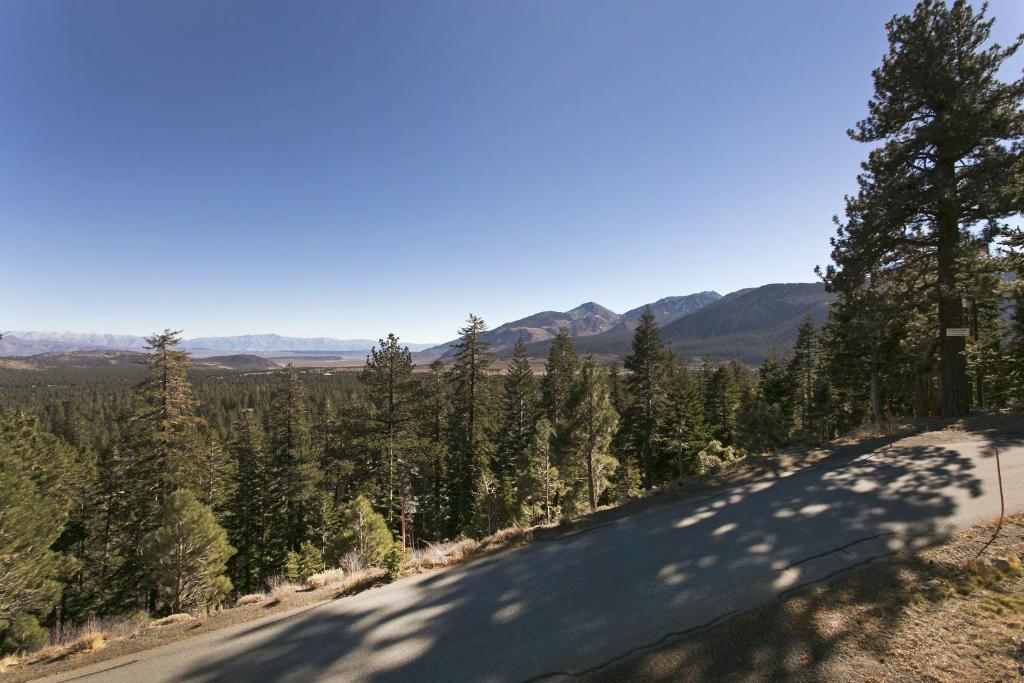 a road with trees and mountains in the distance at Mammoth Point by 101 Great Escapes in Mammoth Lakes