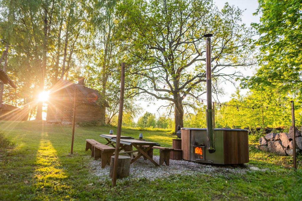 - une table de pique-nique et un grill dans un champ dans l'établissement TaaliHomes Vanaküla Puhkemaja - Saun ja kümblustünn hinnas, à Vanaküla