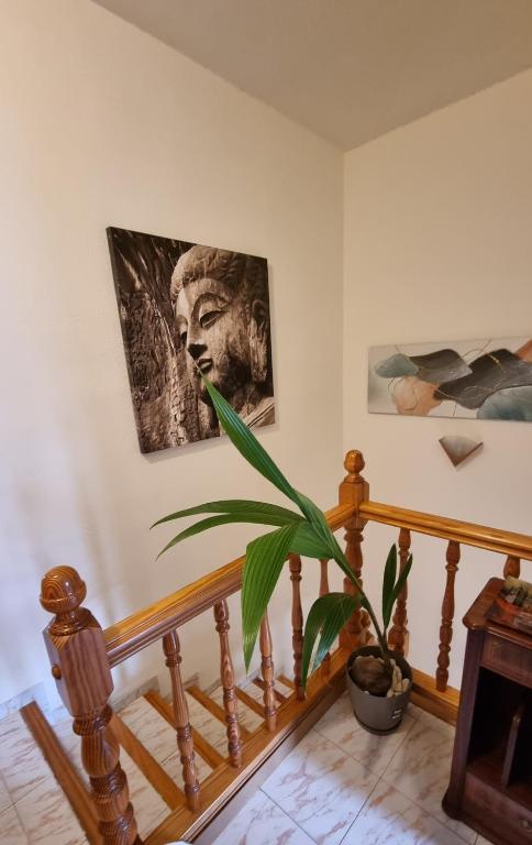 a plant in a pot sitting next to a staircase at Bali Beach Puzol relax en la playa cerca de Sagunto y Valencia in Puzol