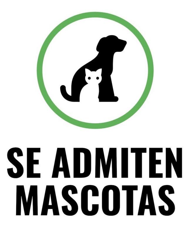 Maile Apartamentos - 13