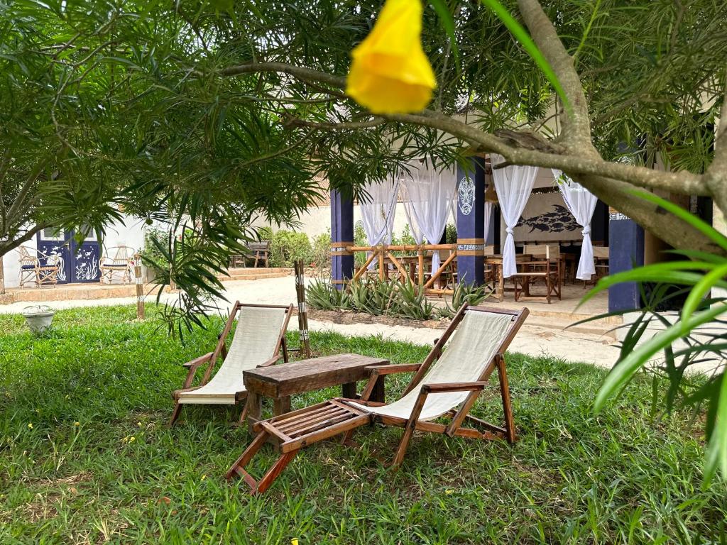 un grupo de sillas y una mesa en el césped en Ocean Breeze Boutique Hotel en Nungwi
