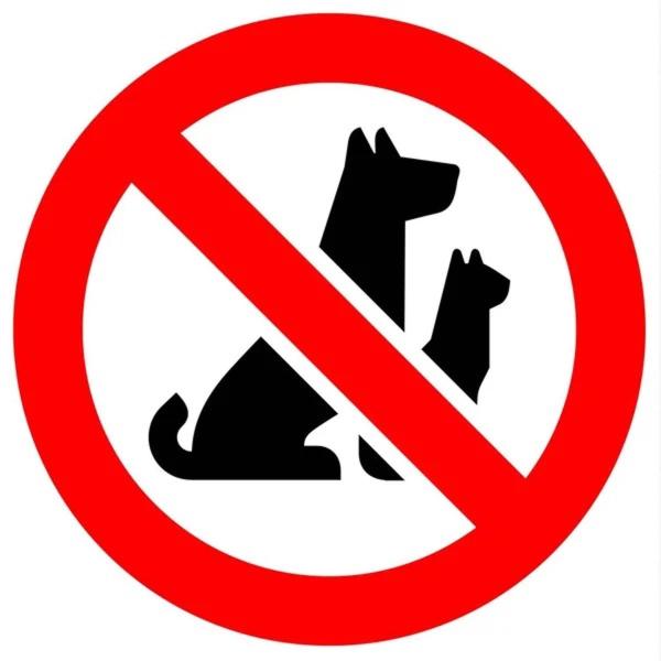 Maile Apartamentos - 11