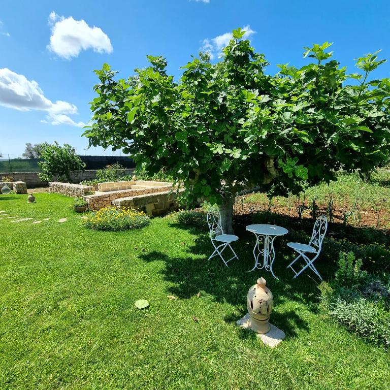 Zahrada ubytování Villa CICIA