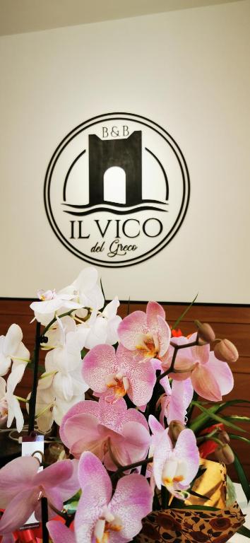 Certifikát, hodnocení, plakát nebo jiný dokument vystavený v ubytování Il Vico del Greco B&B