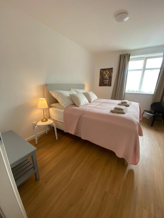 een slaapkamer met een groot bed en een houten vloer bij Apartmany Tachov - First Floor in Tachov