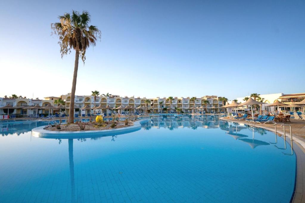 a large swimming pool with a palm tree in a resort at JAZ Palmariva Beach in Hurghada
