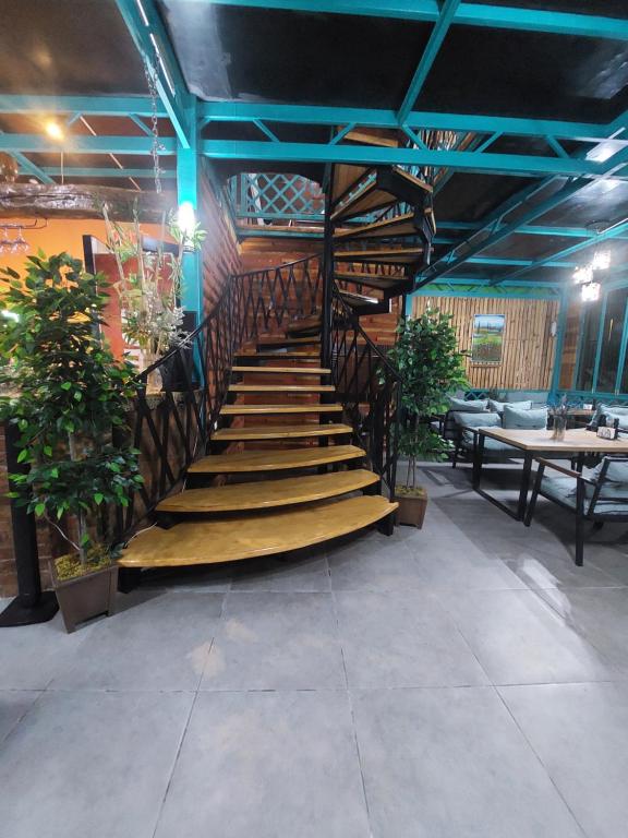 Fotografie z fotogalerie ubytování Green Terrace v destinaci Kobuleti