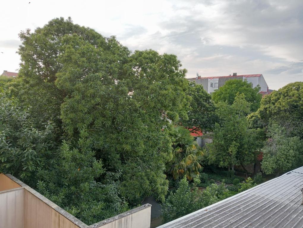 Vonkajšia záhrada v ubytovaní Piso Alerín