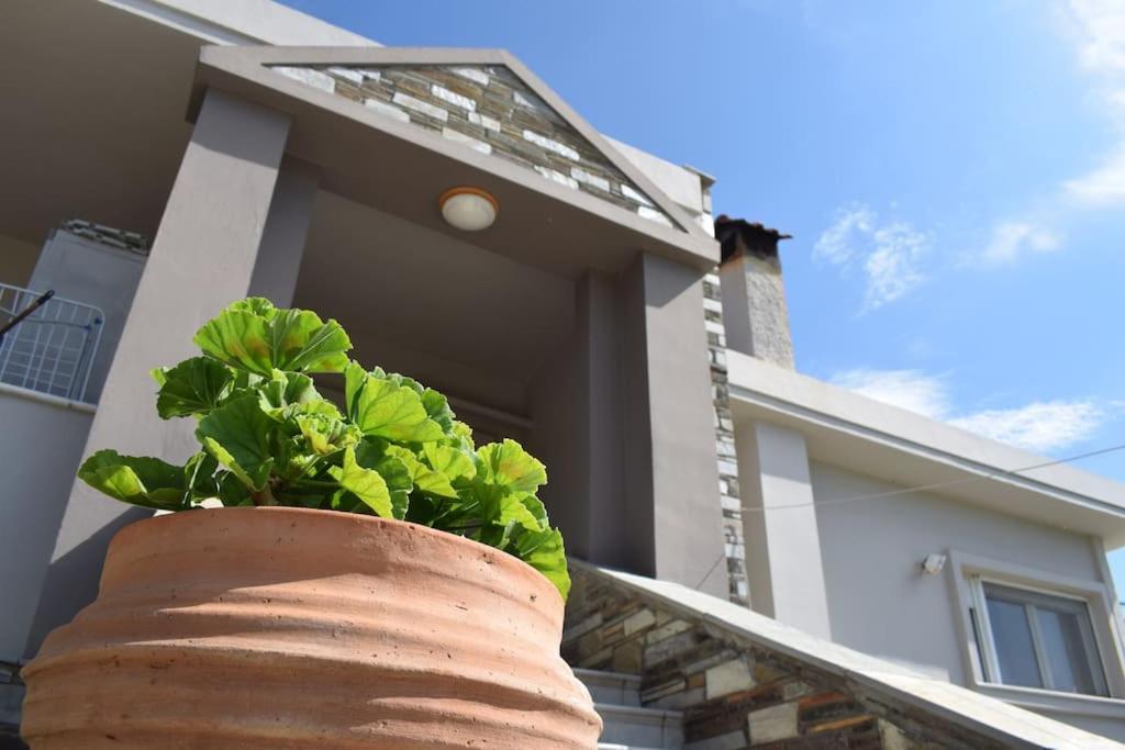 a plant in a pot in front of a house at Villa Casa Chrissy in Plagiárion