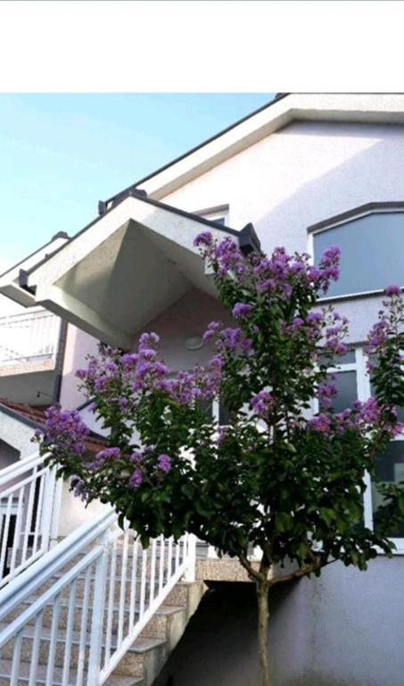 a tree in front of a building with purple flowers at Villa Predlug in Čapljina