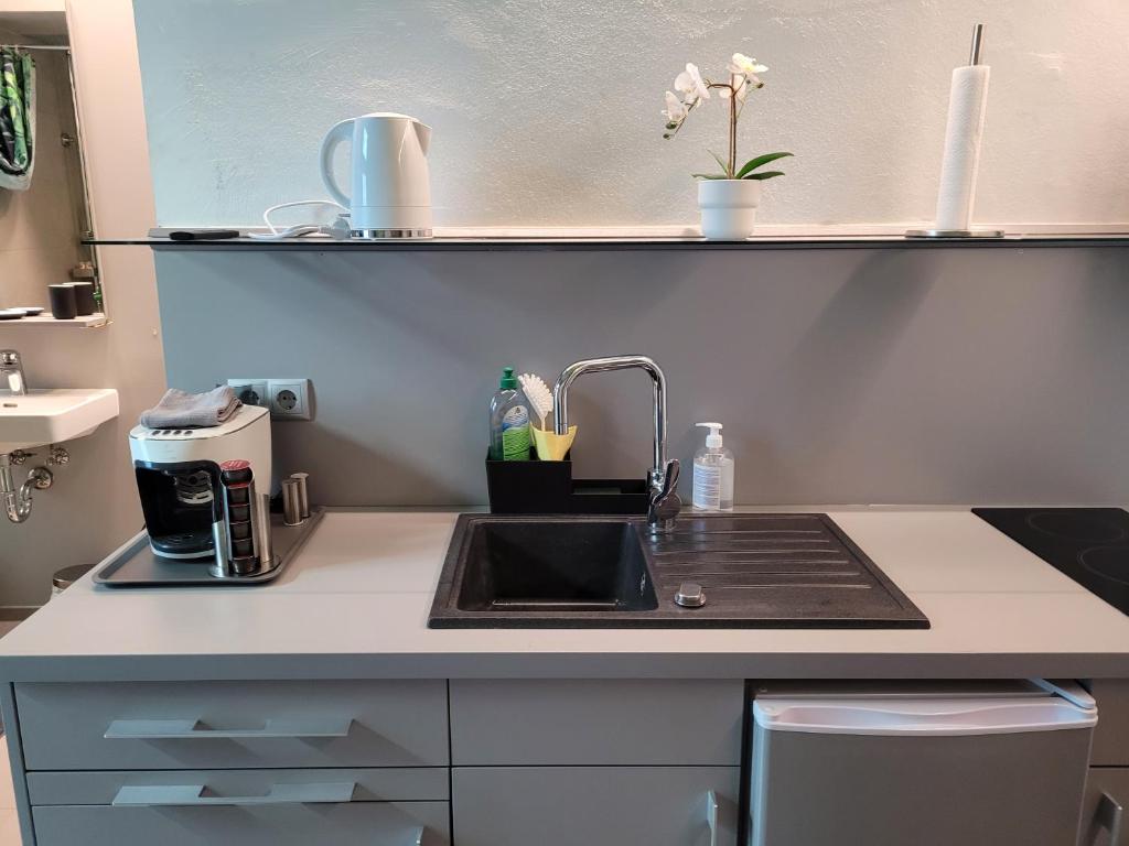 A kitchen or kitchenette at LK43-lodging city-apartments, kontaktlos mit Self Check-In