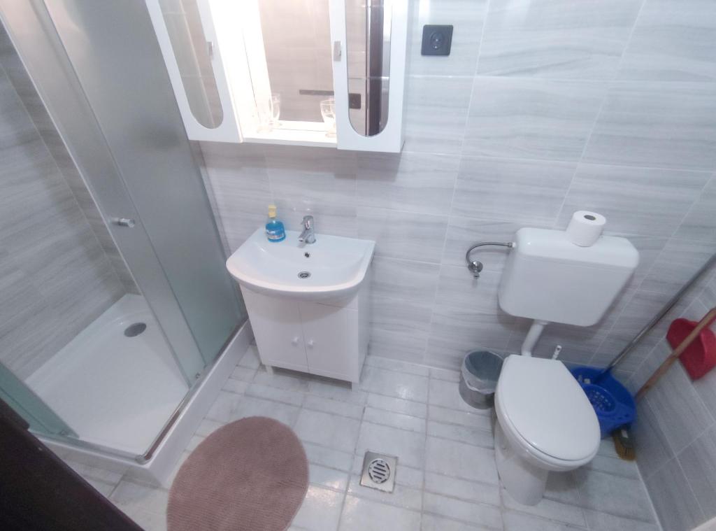 Kúpeľňa v ubytovaní Viktória Panzió Zamárdi