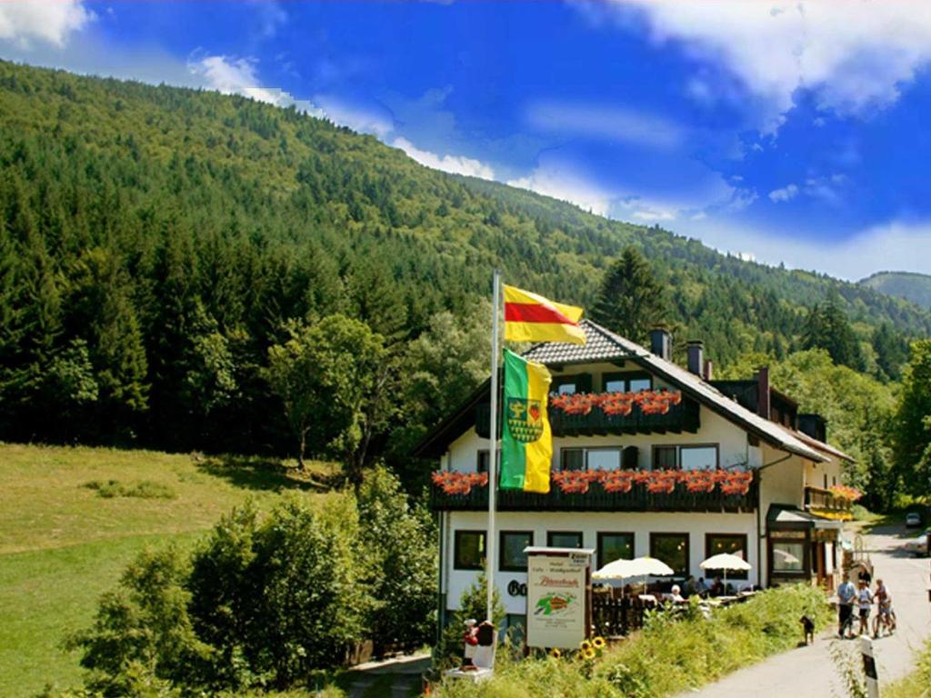 a building with a flag next to a mountain at Kandelbleibe in Waldkirch