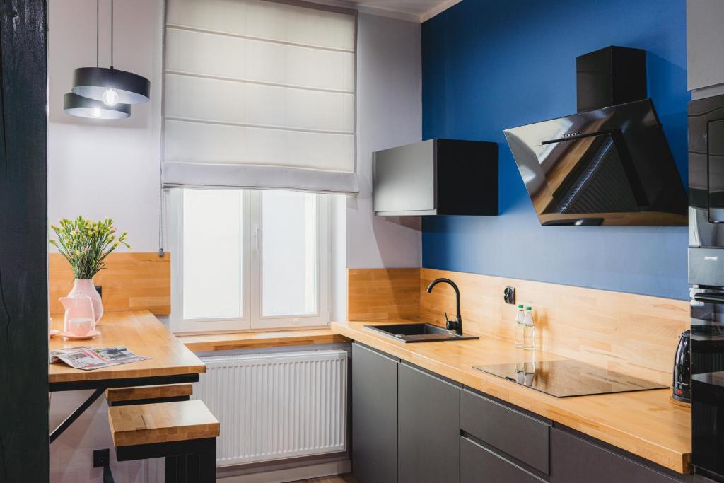 Kuchyňa alebo kuchynka v ubytovaní Modern Apartments Toruń 4 Stare Miasto-Centrum