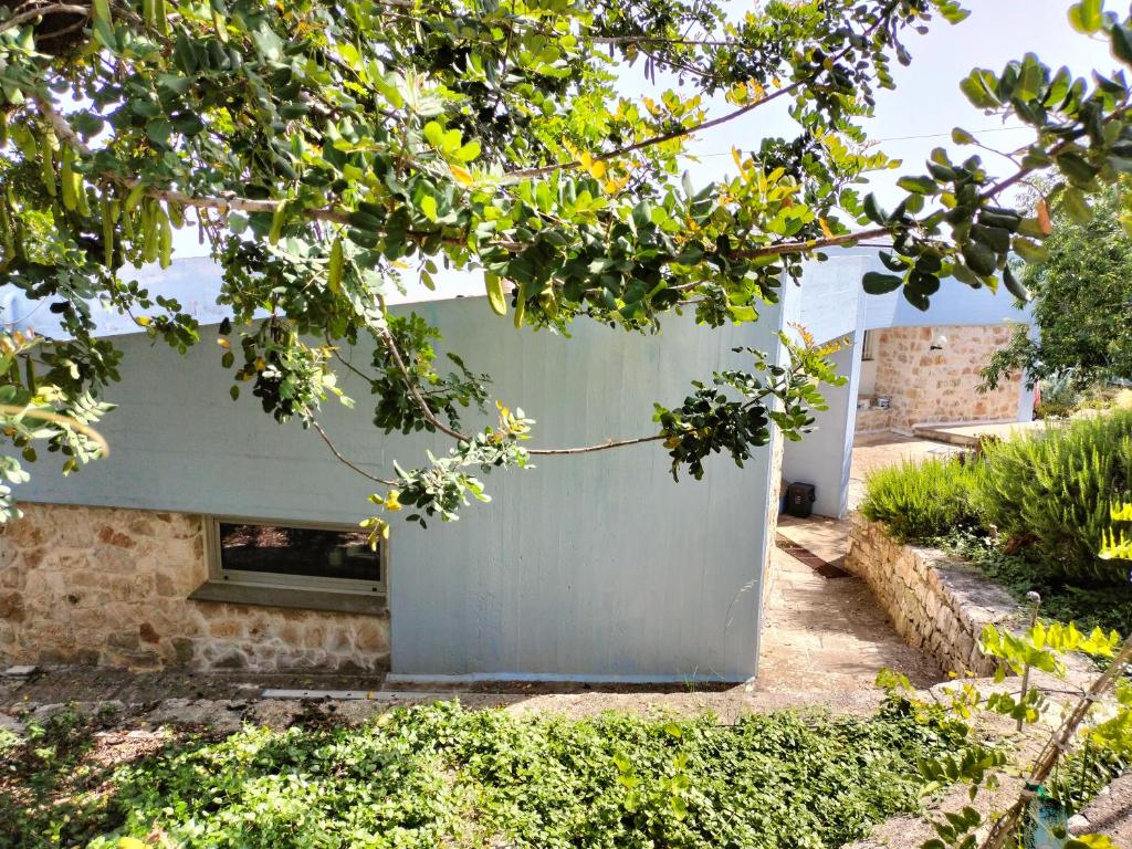 a white house with a window in a yard at le finestre sul mare in Conversano