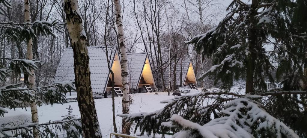 eine Hütte im Wald im Schnee in der Unterkunft Vigio Brasta camping in Elektrėnai