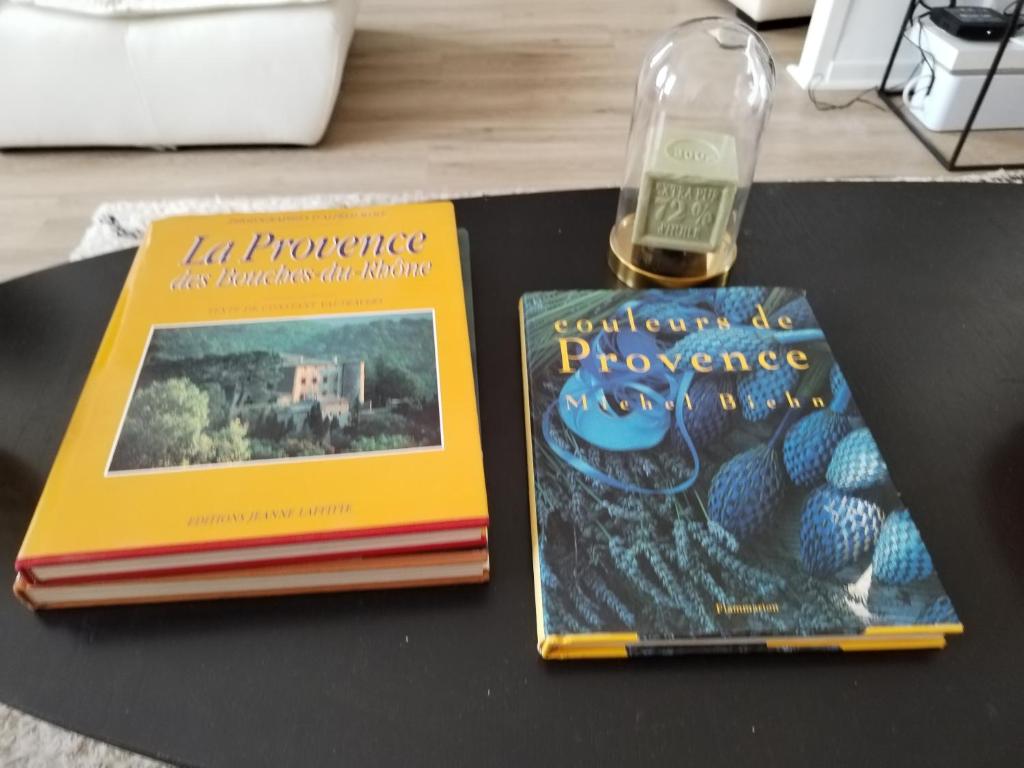 two books sitting on top of a table with a watch at Massilia Calling love Appartement de standing 8 personnes Marseille proche métro parking facile in Marseille