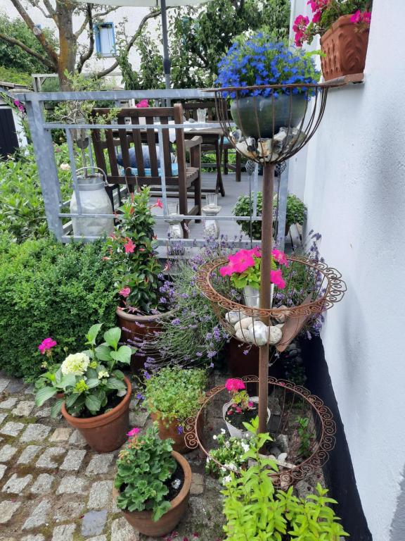 Zahrada ubytování Haus Alexandrine