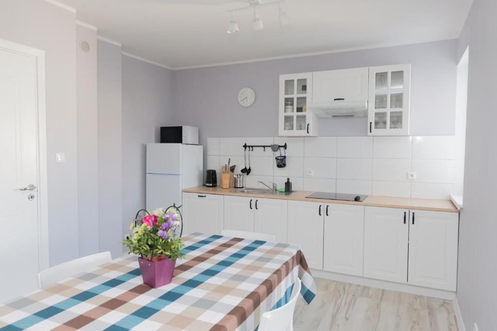 Kuchyňa alebo kuchynka v ubytovaní Apartamenty 4YOU Hel