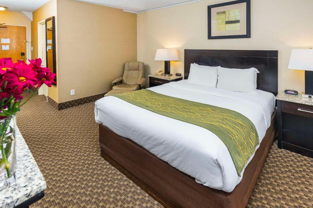 Comfort Inn & Suites - Resim 17