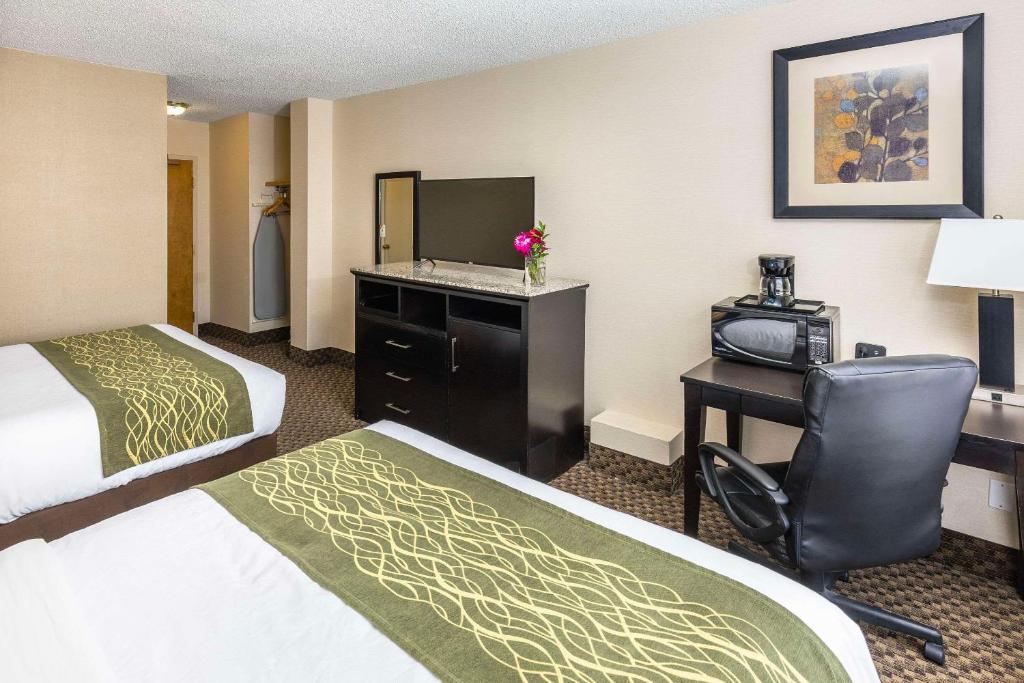 Comfort Inn & Suites - Resim 6