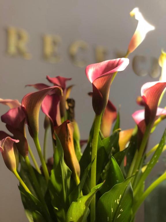 Hotel Stare Miasto Old Town - Resim 34