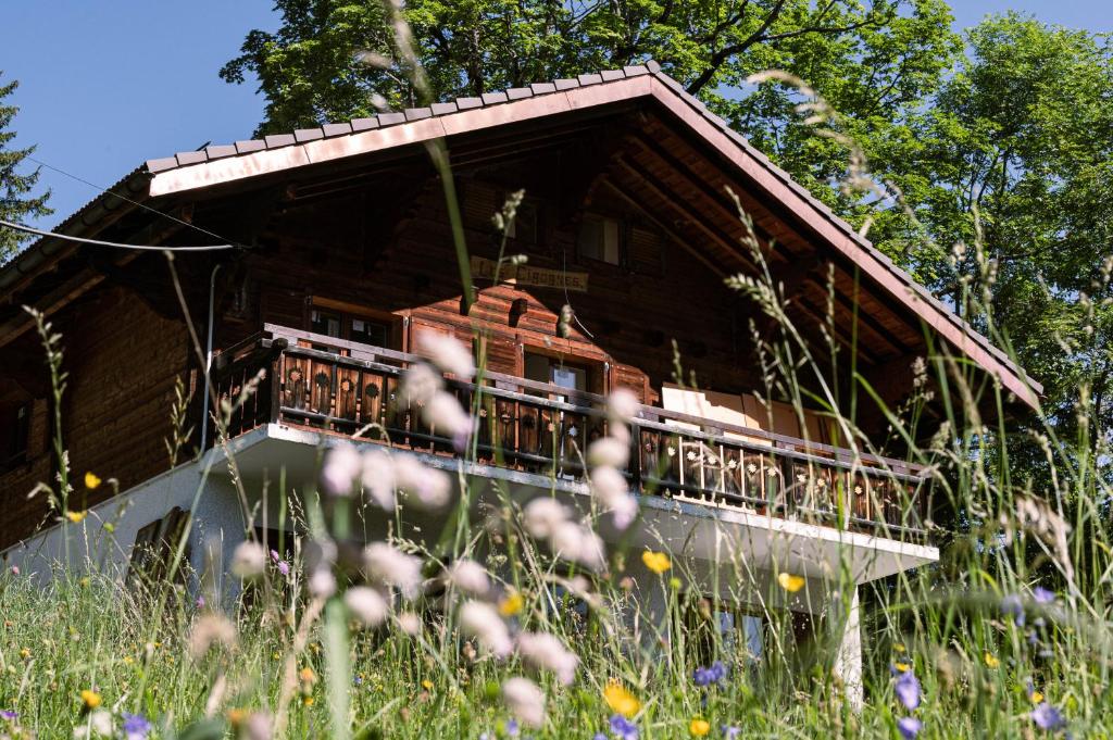 Cabaña de madera con balcón en un campo de flores en Le Wafo en Gryon