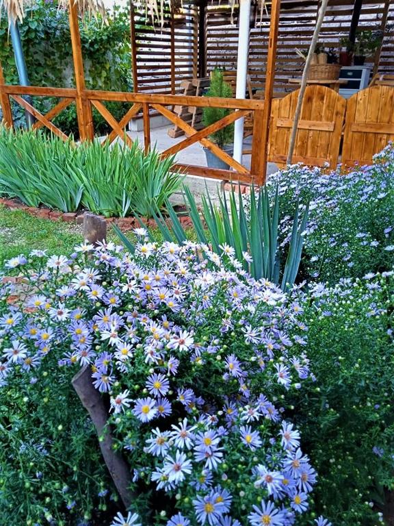 Zahrada ubytování Guest house Meri Poppins
