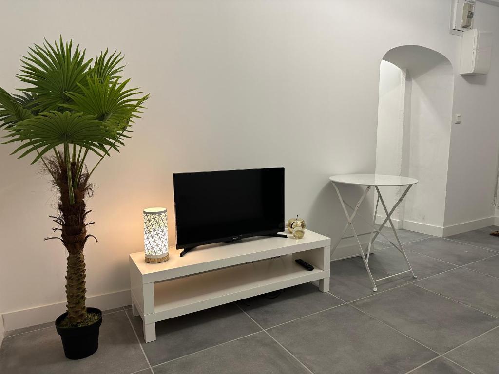 uma televisão sentada num suporte de televisão branco ao lado de uma planta em Apart Nissa Bella Seafont / Promenade des Anglais em Nice