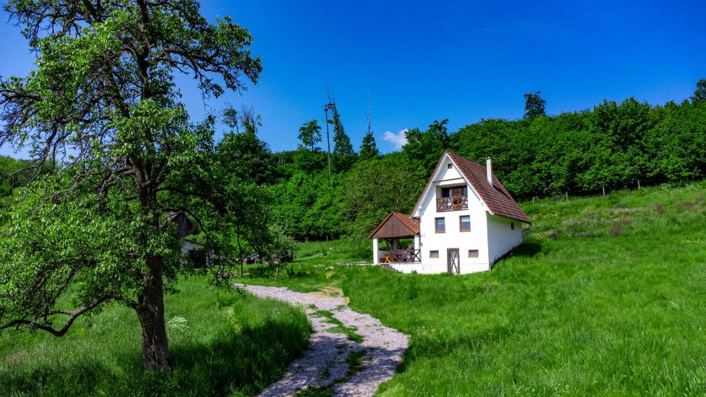 Chata Holý Vrch - oáza kľudu a pokoja في Krupina: منزل أبيض صغير في حقل عشبي