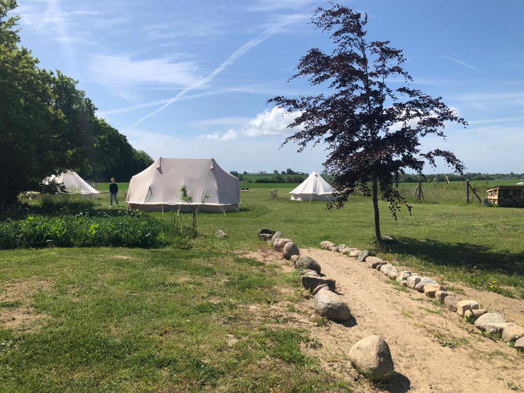 a white tent in a field with a tree and rocks at Helles Have Glamping in Stege