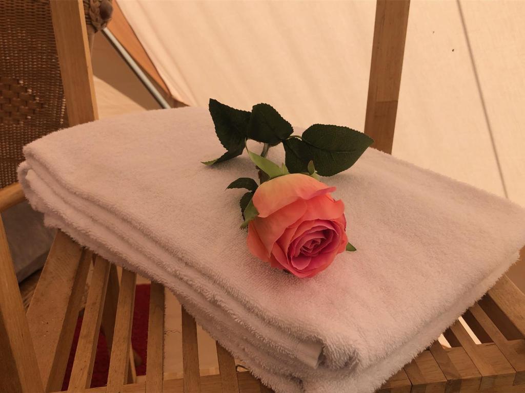 Fotografie z fotogalerie ubytování Helles Have Glamping v destinaci Stege