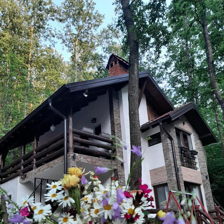 Vila KTM Lisine - Villa De Deux Chambres