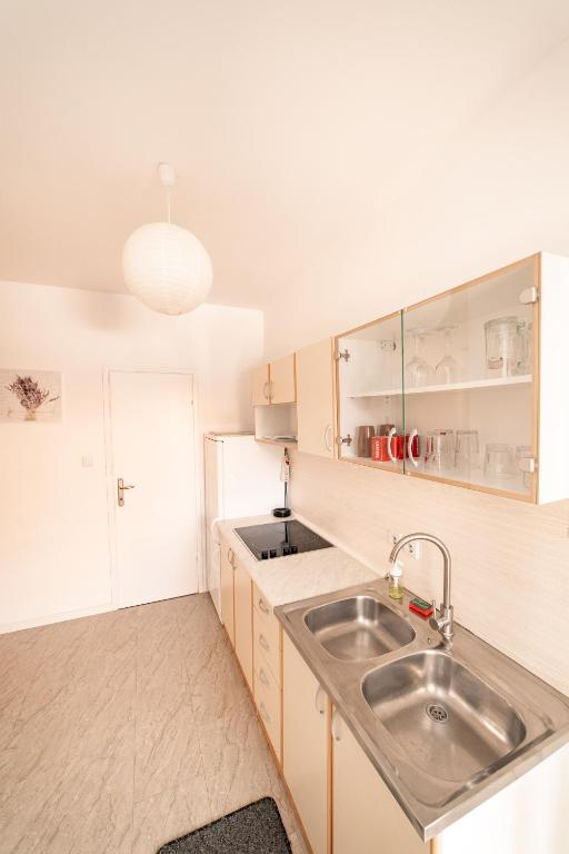 Kuchyň nebo kuchyňský kout v ubytování Guesthouse Lastavica