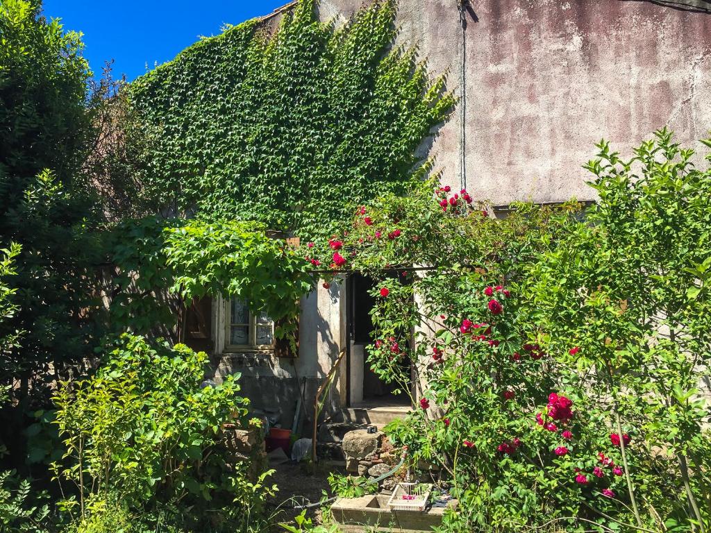 an entrance to a house with flowers and plants at Le Mas du figuier, Maison de vacances in Le Bousquet-dʼOrb