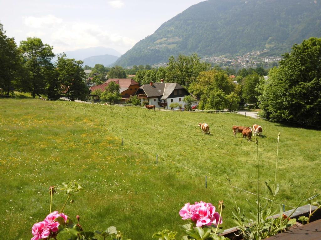 Naturlandschaft in der Nähe der Ferienwohnung