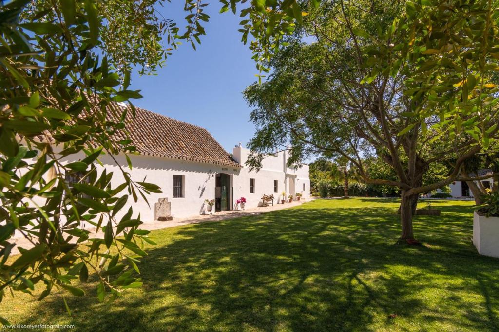 una casa bianca con un albero in cortile di Cortijo El Indiviso a Vejer de la Frontera