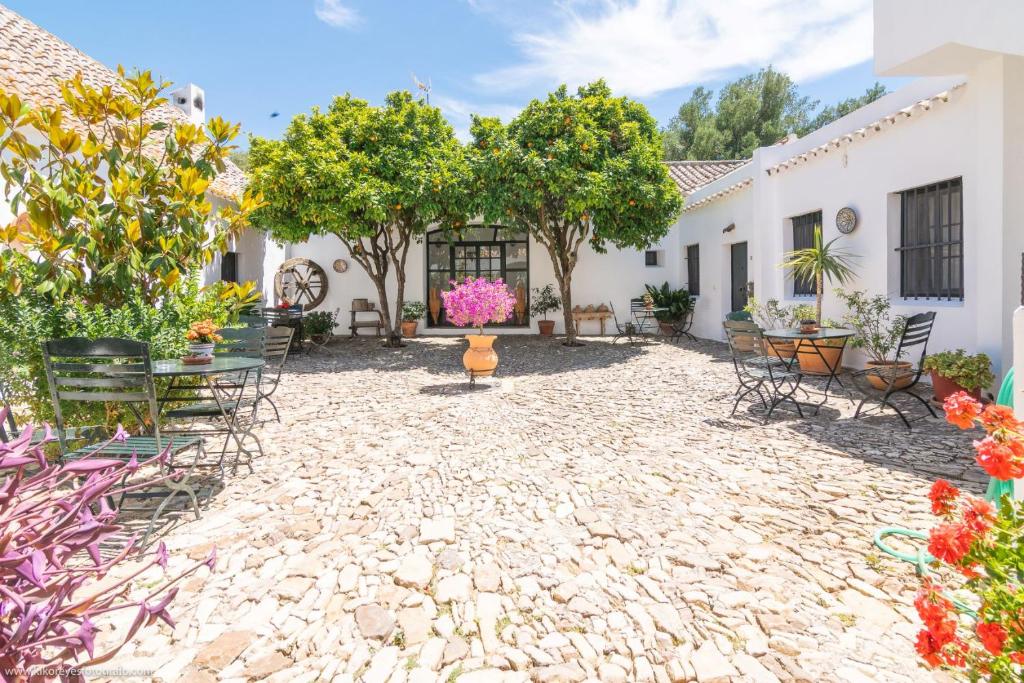 a patio with chairs and tables and trees at Cortijo El Indiviso in Vejer de la Frontera