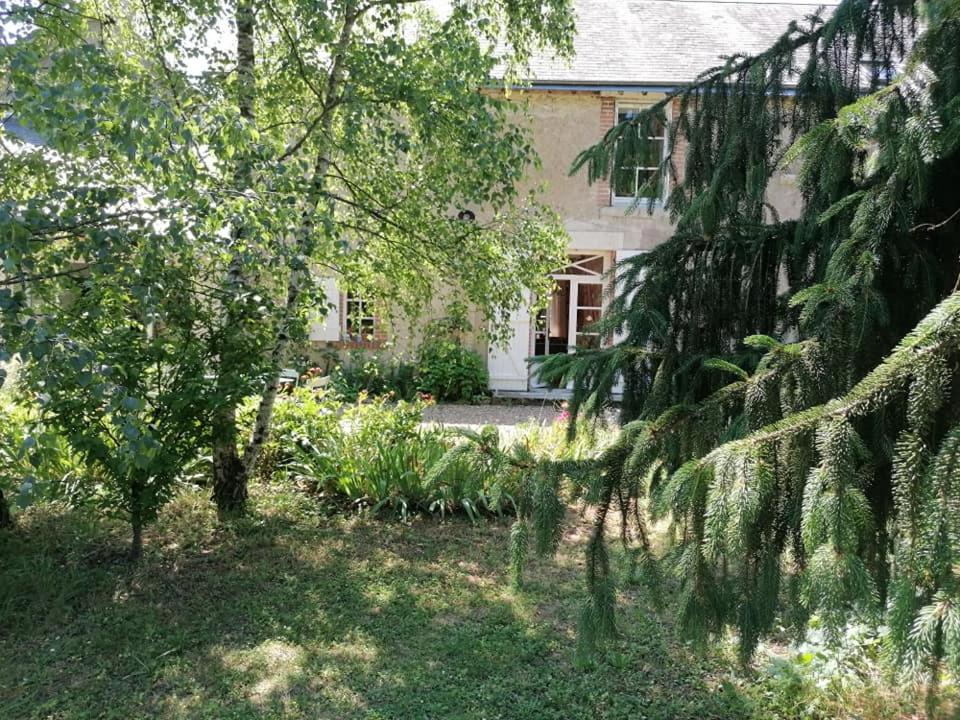 un cortile con alberi e una casa sullo sfondo di La Robinière Maison d'Hôtes a Mont-près-Chambord