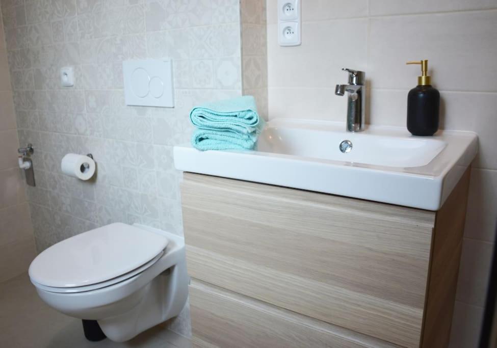 Koupelna v ubytování Apartmán Květinový Dům