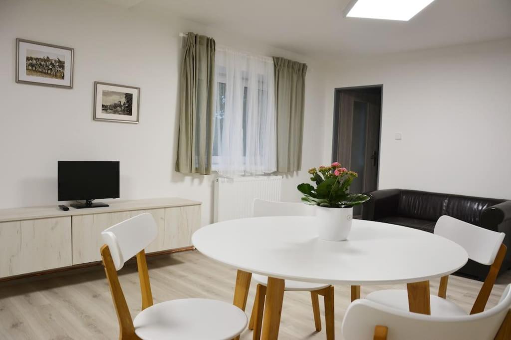 TV a/nebo společenská místnost v ubytování Apartmán Květinový Dům