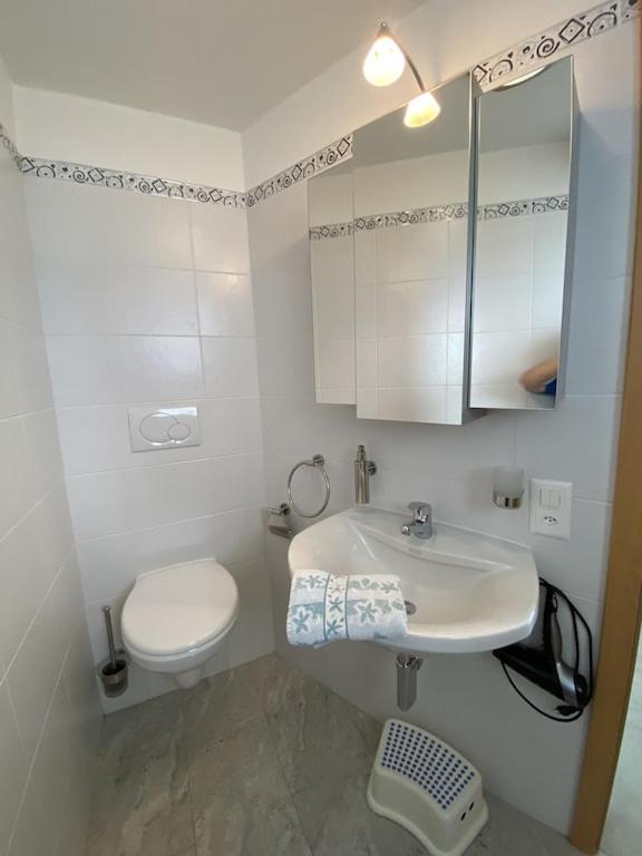 Koupelna v ubytování Dream holiday house with a fantastic view of Lake Maggiore and the pool