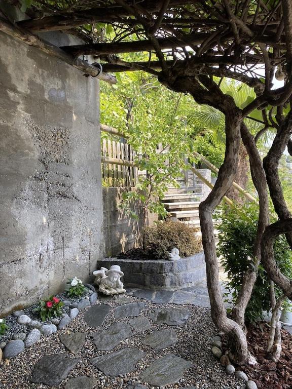 Zahrada ubytování Dream holiday house with a fantastic view of Lake Maggiore and the pool