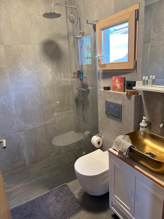 a bathroom with a shower and a toilet and a sink at Kuća Aurora in Rovinj