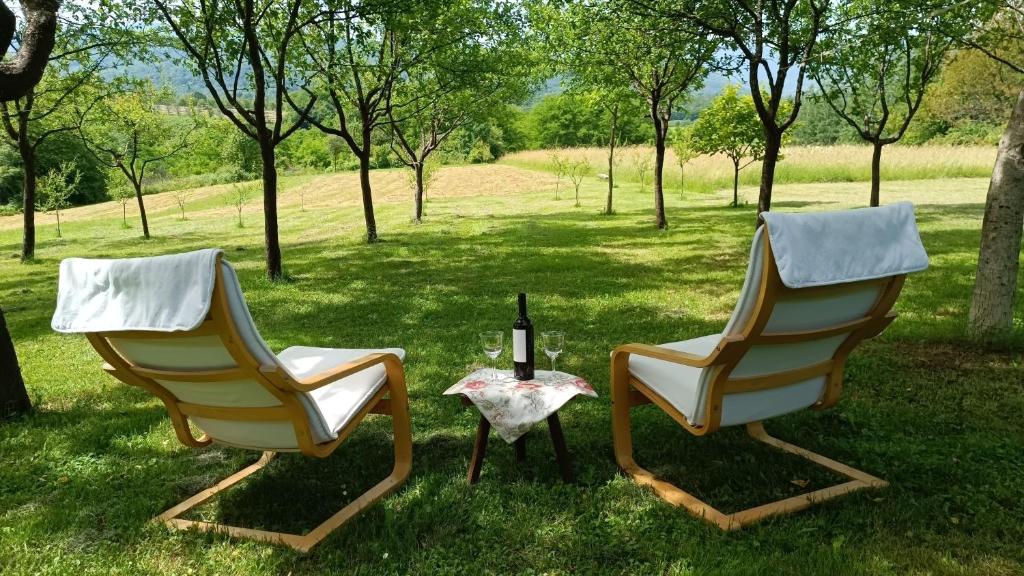 dos sillas y una botella de vino sentada en la hierba en Casa da Emanuela, en Drežnik Grad